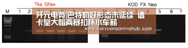 开元电竞|巴特勒好形态未延续 遭卡皇大帽两暴扣杯水车薪(图2) 开元电竞