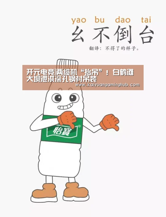 开元电竞|两缆机“抬吊”!白鹤滩大坝泄洪深孔钢衬吊装(图1) 开元官方