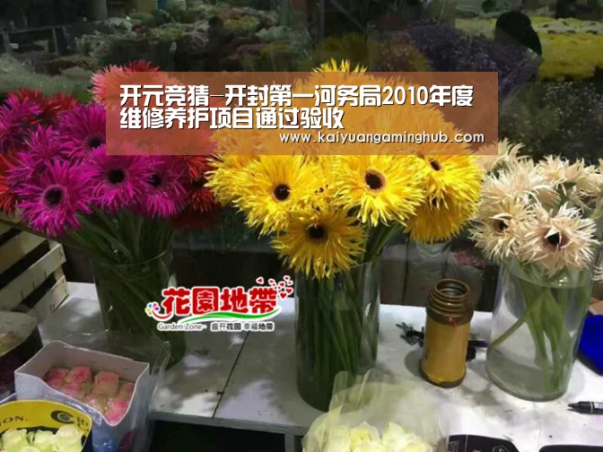 开元电竞