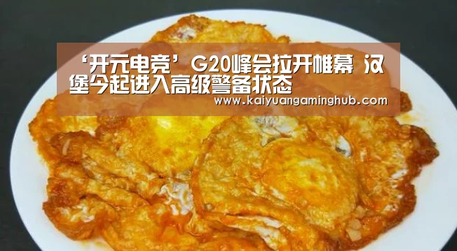 ‘开元电竞’G20峰会拉开帷幕 汉堡今起进入高级警备状态(图2) 开元官方