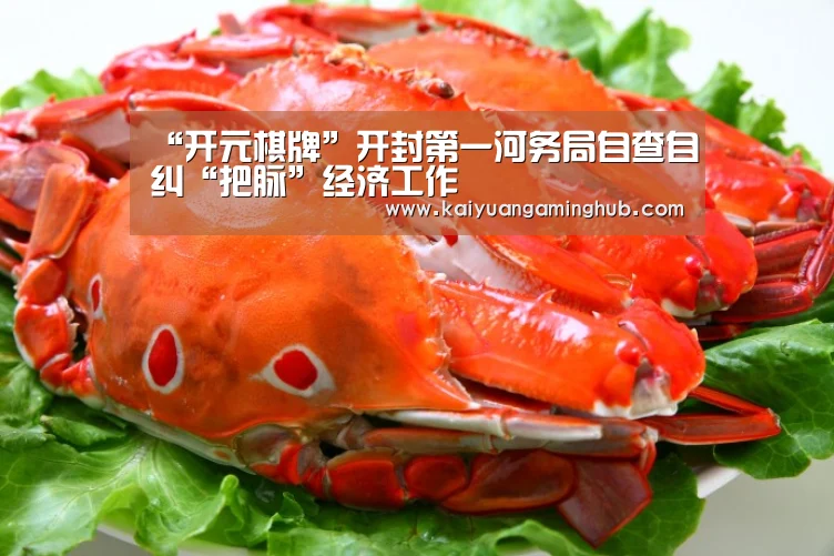 “开元棋牌”开封第一河务局自查自纠“把脉”经济工作(图2) 开元棋牌